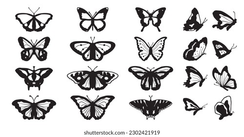 Drawing butterflies. Stencil butterfly, moth wings and flying insects. Butterflies tattoo sketch, fly insect black hand drawn engraving. Isolated vector illustration icons set.