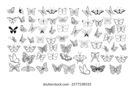 Drawing butterflies. Stencil butterfly, moth wings and flying insects isolated illustration set