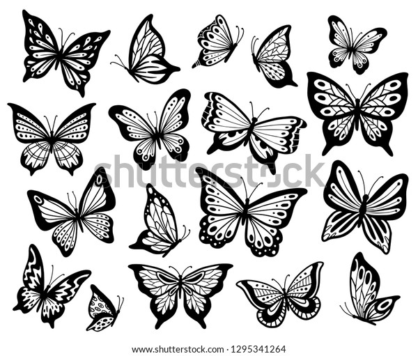 Drawing Butterflies Stencil Butterfly Moth Wings Stock Vector