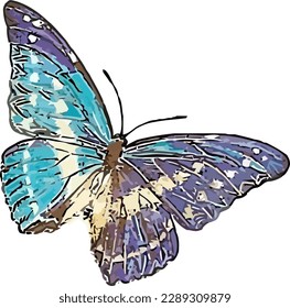 A drawing of a butterfly with blue wings.