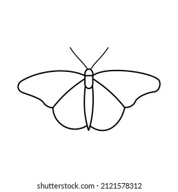 drawing butterfly icon using line style
