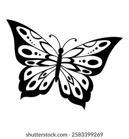 Drawing butterfly. Stencil butterfly, moth wings and flying insect. Butterflies tattoo sketch, fly insect black hand drawn engraving. Isolated vector illustration icon.