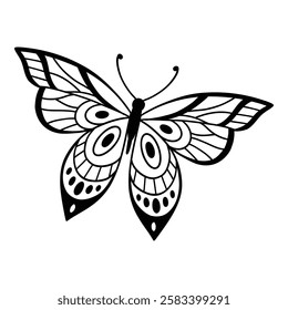 Drawing butterfly. Stencil butterfly, moth wings and flying insect. Butterflies tattoo sketch, fly insect black hand drawn engraving. Isolated vector illustration icon.