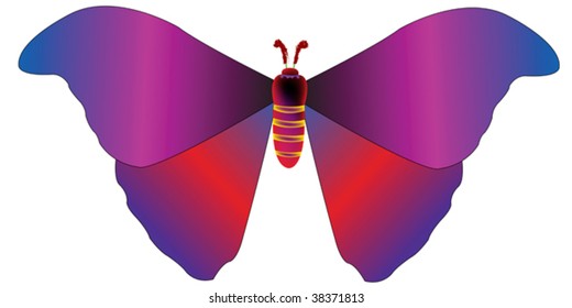 drawing of a butterfly, vector art illustration; more drawings in my gallery