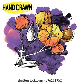 Drawing by hand in vintage style. Flowers on a branch. Stylish colorful background. Spots watercolor paint.