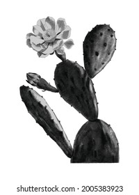 Drawing of Cactus Opuntia illustrationdesign element Free download It`s perfect for fabrics, t-shirts, mugs, decals, pillows, logo, pattern and much more!