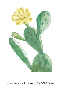 Drawing of Cactus Opuntia illustrationdesign element Free download It`s perfect for fabrics, t-shirts, mugs, decals, pillows, logo, pattern and much more!