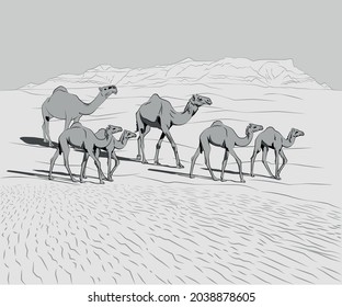 A drawing camels with babies walking in desert in lines