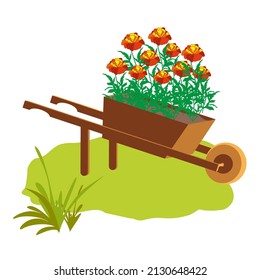 Drawing a cart with flowers. Marigolds. Summer. Garden and vegetable garden. Vector illustration in a flat style.