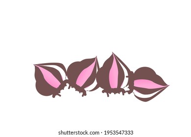 Drawing Cartoon onions isolate on white background.