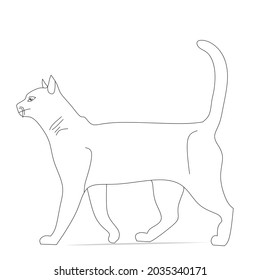 drawing of a cat with black lines without color