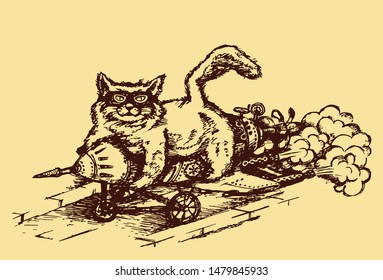 Drawing of a cat flying on a rocket. Sketch. Vector illustration