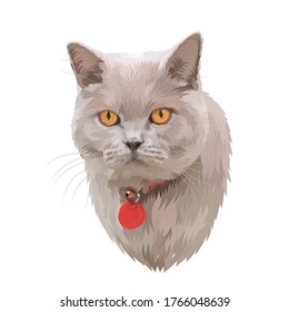 Drawing Of A Cat Png, Cat Face Png, Cute Cat Pics, Cute Drawings, Cat Illustrations