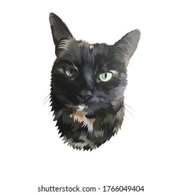 drawing of a cat png, cat face png, cute cat pics, cute drawings, cat illustrations