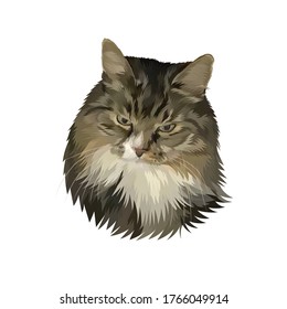 Drawing Of A Cat Png, Cat Face Png, Cute Cat Pics, Cute Drawings, Cat Illustrations