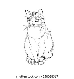 Drawing cat, vector sketch