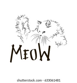 drawing cats by hand
