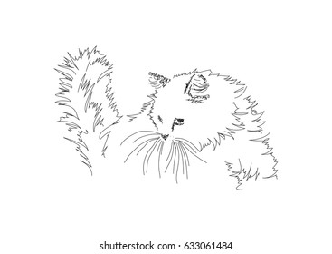 drawing cats by hand