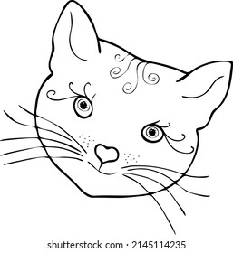 Dibujo del bozal del gato con un contorno negro. Archivo vector.