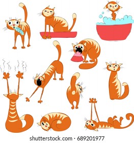 Drawing cats set