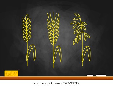 Drawing of cereals on blackboard