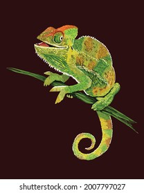 drawing chameleon, art.illustration, camouflage reptile, vector