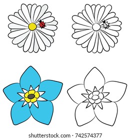 Drawing of Chamomile, Forget-me-Not. Wildflowers