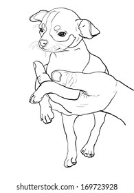 The drawing of chihuahua in human hand