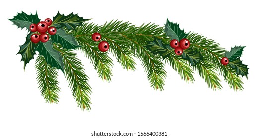 Drawing Christmas tree branch decorated and holly leaves   berries  Vector illustration