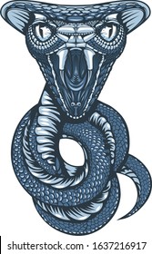 Drawing of cobra coiled into rings, and ready to attack. Tattoo design.