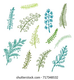drawing collection set of green twigs on white background, vector illustration