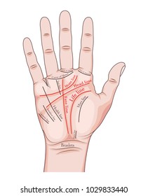 Drawing of a color arm with lines on palmistry and names.