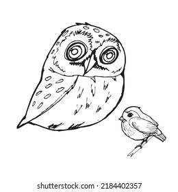 Drawing for coloring chicks owls and sparrows