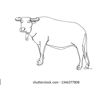 Drawing a continuous line of buffalo