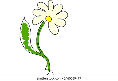 Drawing a continuous line daisy flower. Symbol of purity and simplicity. It is painted.