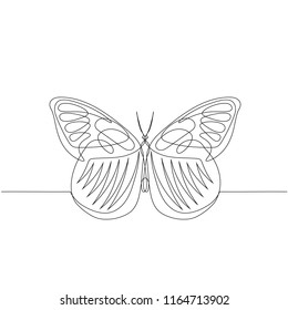 Drawing Continuous Line Isolated Butterfly Vector Stock Vector (Royalty ...