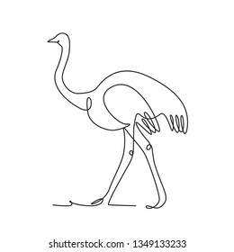 Drawing a continuous line. Ostrich on white isolated background. Linear style
