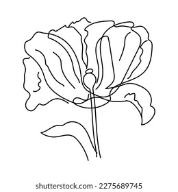 Drawing of a continuous line of a poppy flower. Stylized minimalistic poppy. Isolated vector line, illustration. Poppy flower icon, logo, label.