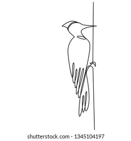 Drawing a continuous line. Woodpecker on white isolated background. Linear style
