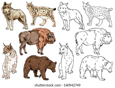 drawing and contour of wild animal species living in the forest, prey animals, large and medium