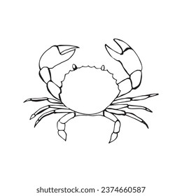 Drawing of a crab. Line art. Vector illustration
