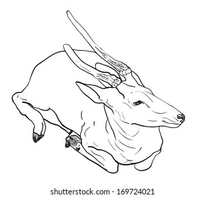 The drawing of crouching brown deer