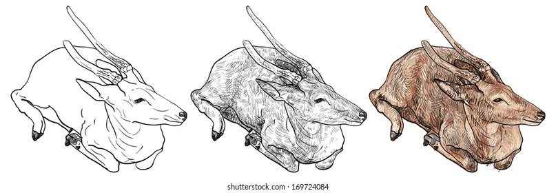 The drawing of crouching brown deer