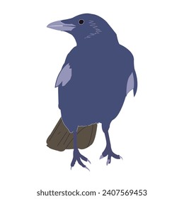 A drawing of a crow on a white background
