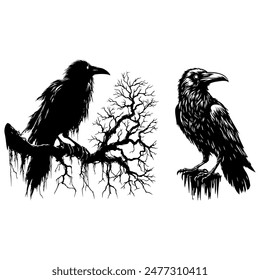 A drawing of a crow's silhouette shows its frightfulness.