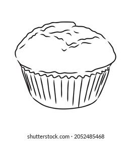 drawing of a cup cake cupcake vector sketch