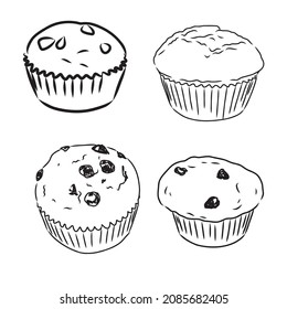 drawing of a cup cake cupcake vector sketch