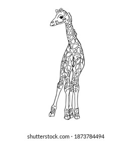 Drawing cute animals for kids. Giraffe. Black silhouette on a white background close-up. Vector illustration.