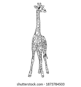 Drawing cute animals for kids. Giraffe. Black silhouette on a white background close-up. Vector illustration.