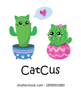 Drawing Cute Cat Cactus Love On White